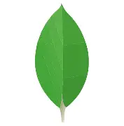 MongoDB